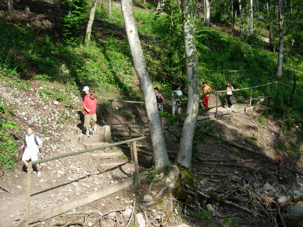 dscn1641.jpg