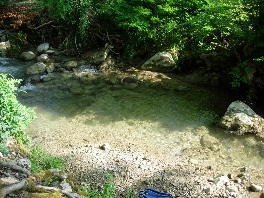 dscn1648.jpg