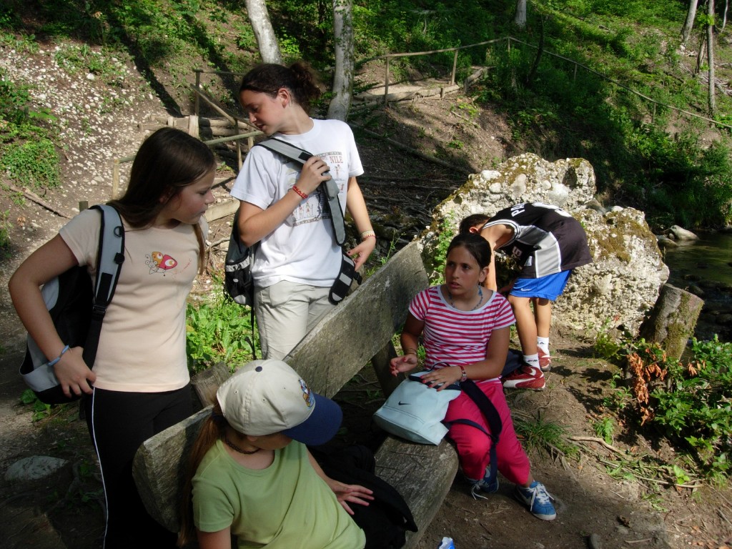 dscn1649.jpg