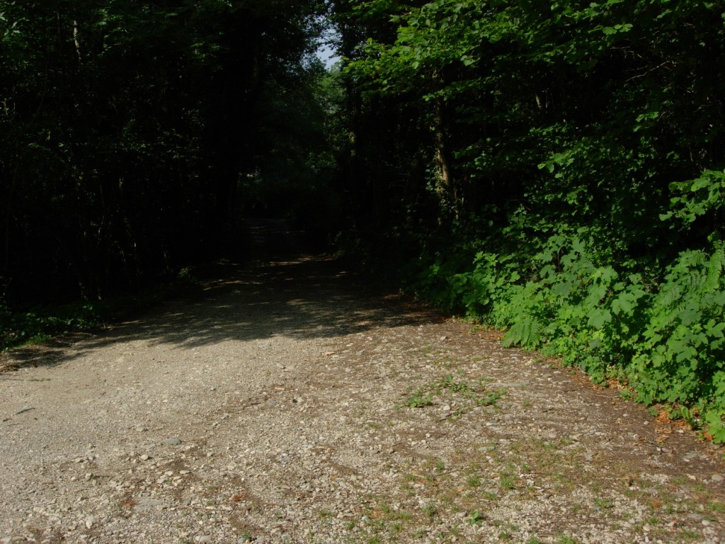 dscn1653.jpg