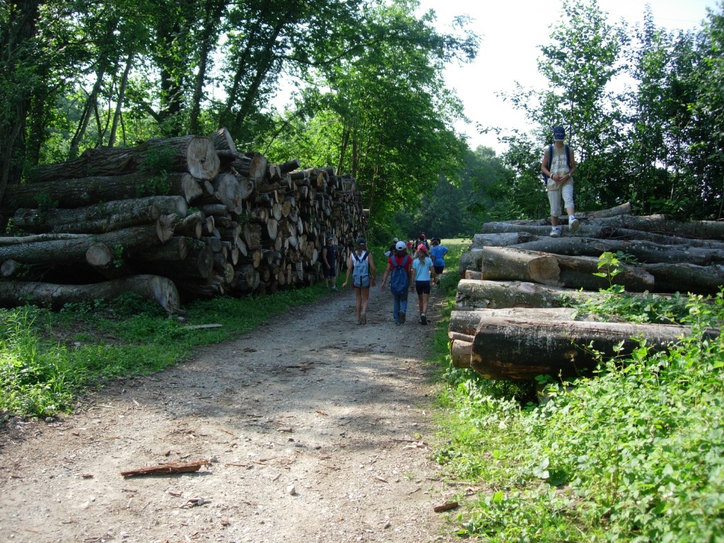 dscn1654.jpg