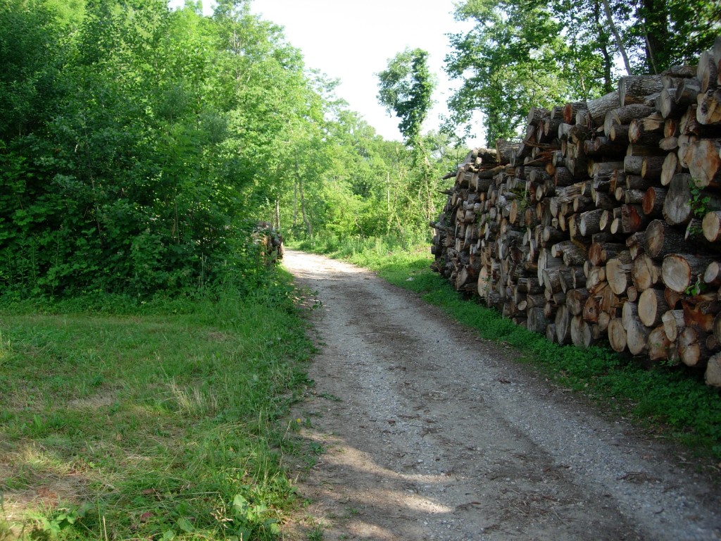 dscn1656.jpg