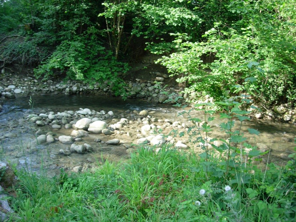 dscn1662.jpg