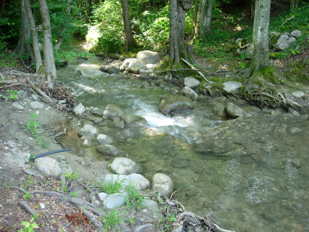 dscn1663.jpg