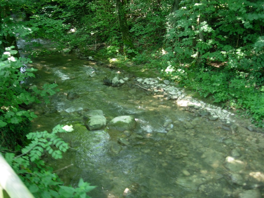 dscn1665.jpg