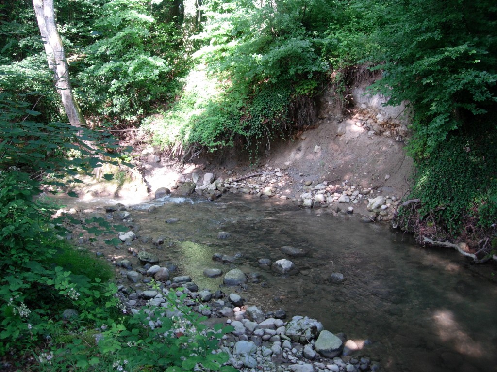dscn1667.jpg