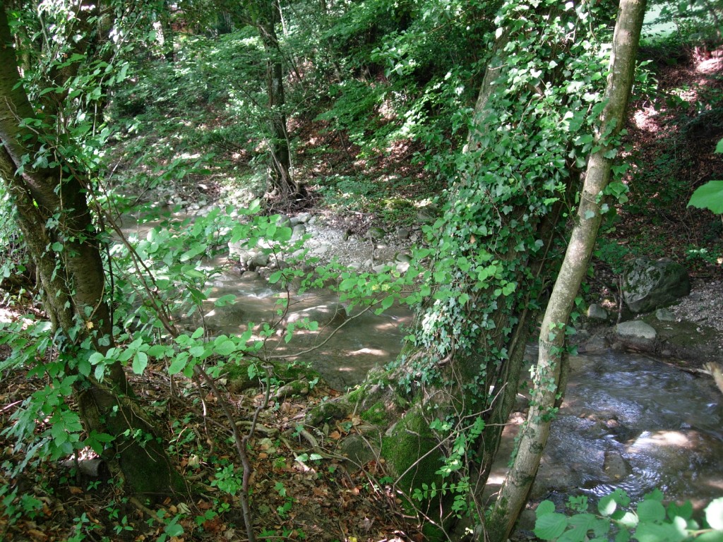dscn1668.jpg