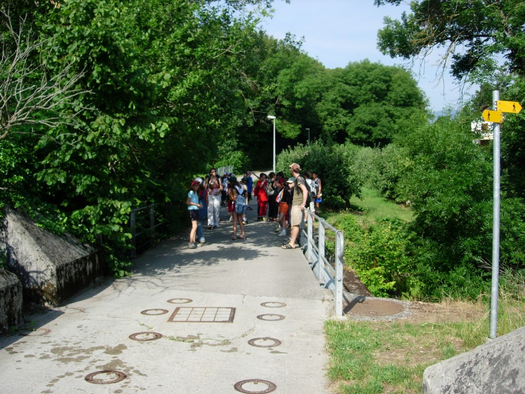 dscn1674.jpg