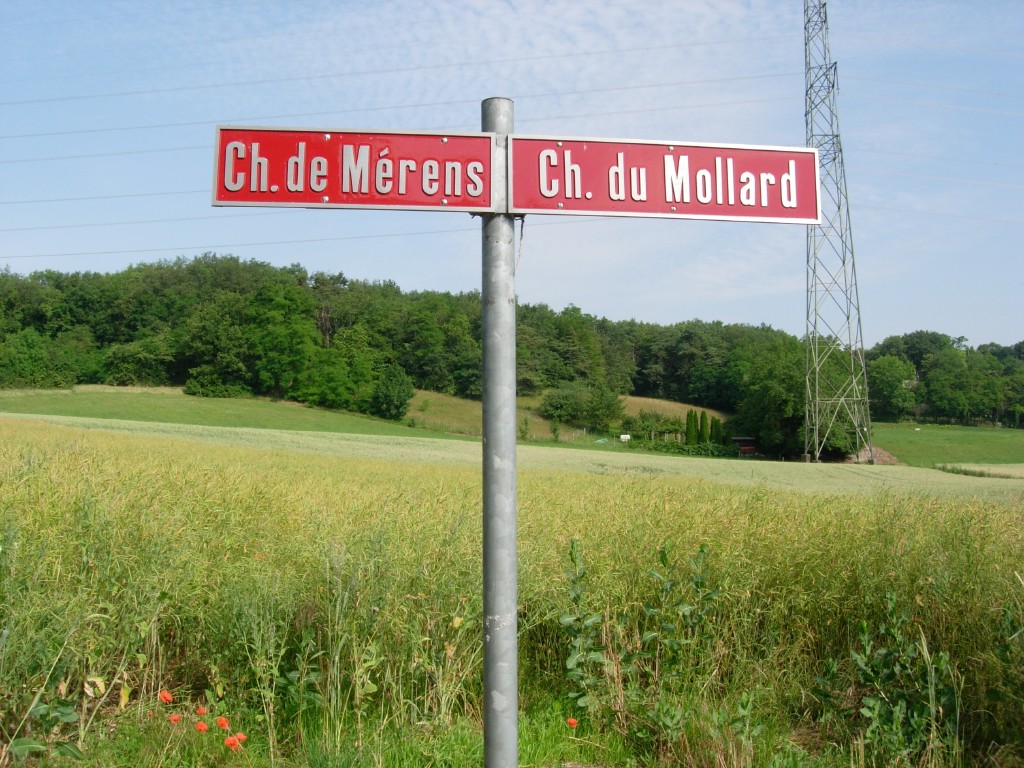 dscn1700.jpg