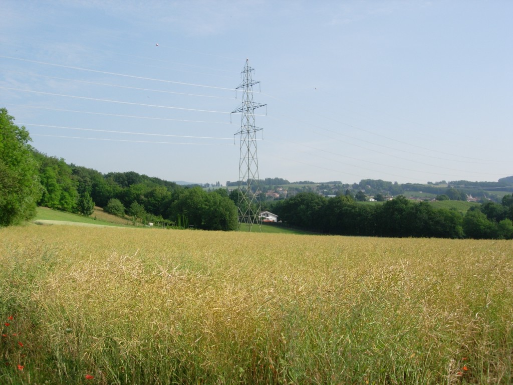dscn1704.jpg