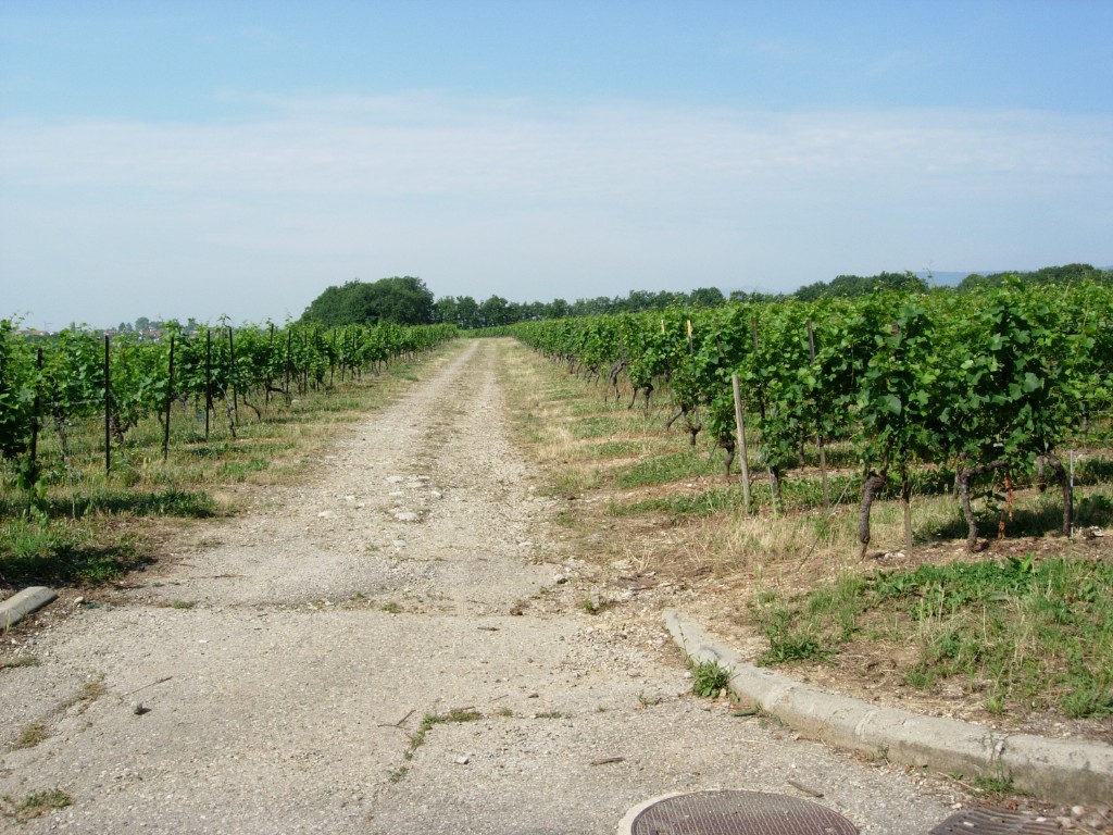 dscn1710.jpg