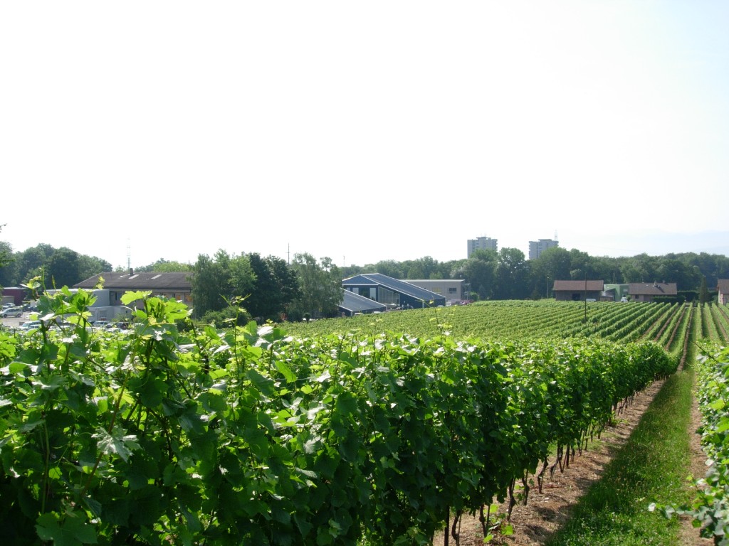 dscn1714.jpg