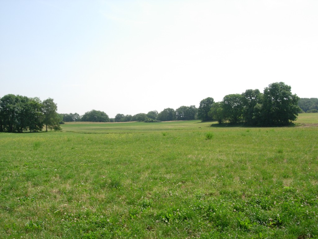 dscn1753.jpg