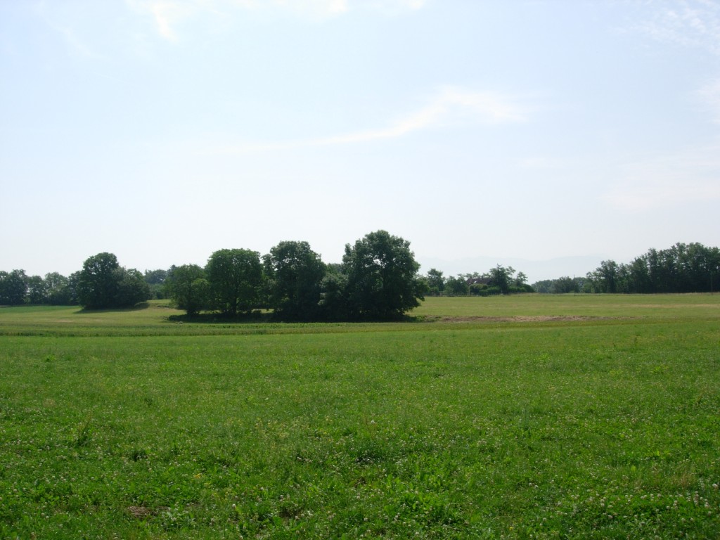 dscn1754.jpg