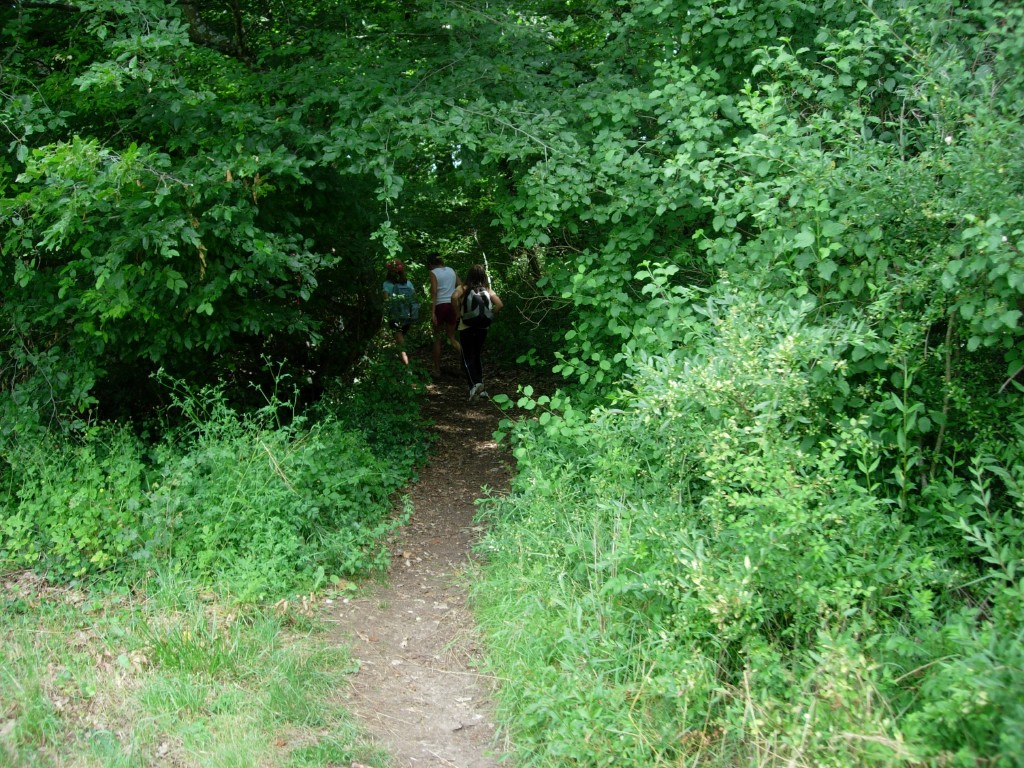 dscn1761.jpg
