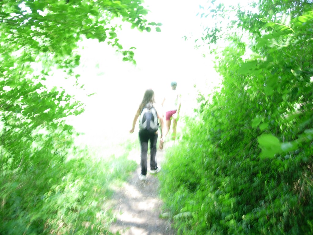 dscn1762.jpg