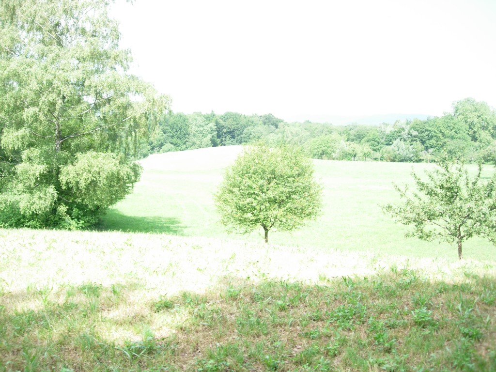 dscn1764.jpg