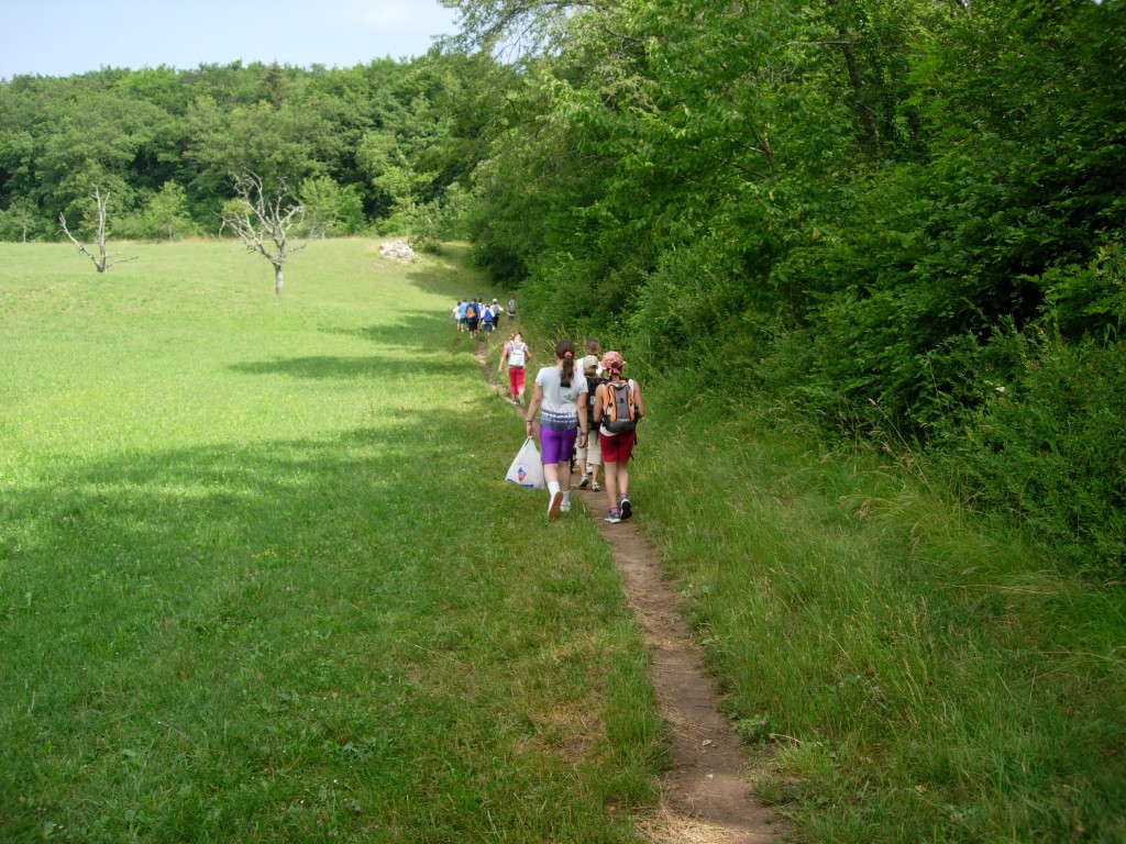 dscn1765.jpg