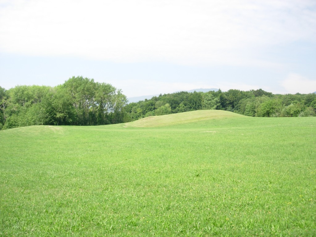 dscn1766.jpg