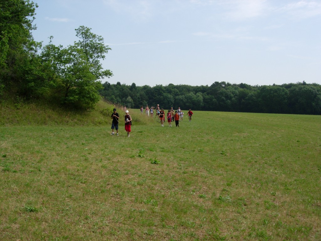 dscn1770.jpg
