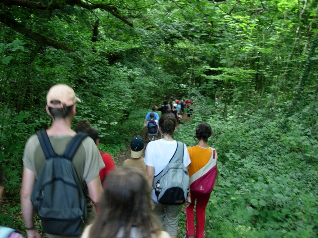 dscn1780.jpg
