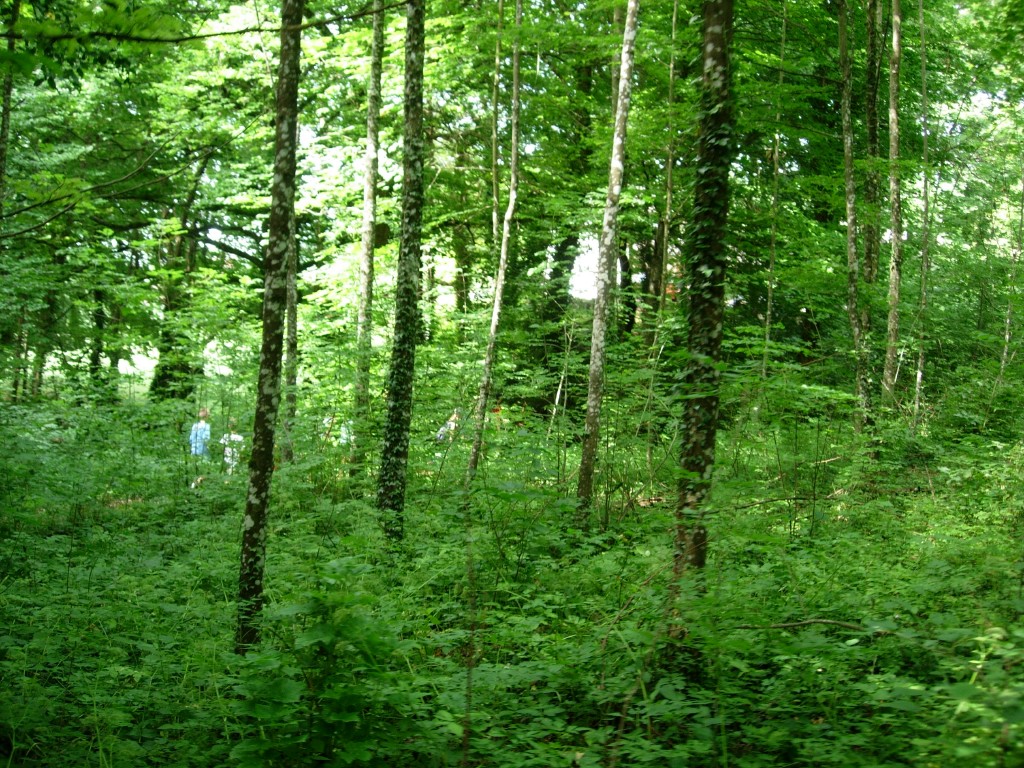 dscn1781.jpg