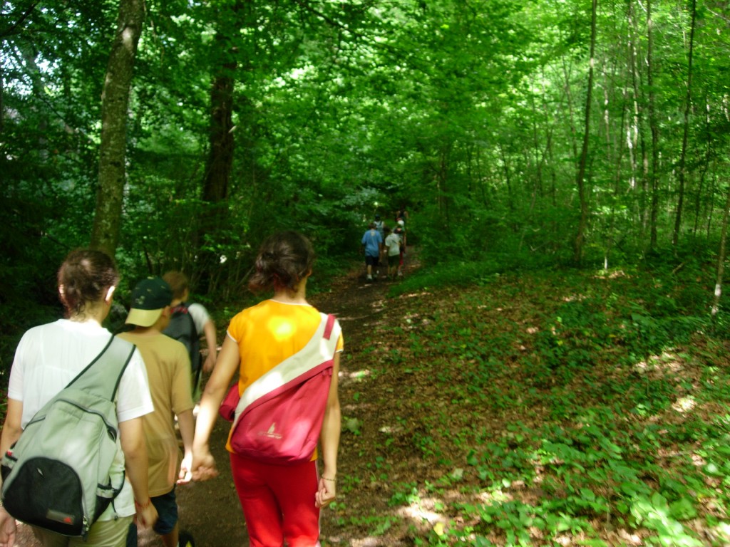 dscn1782.jpg