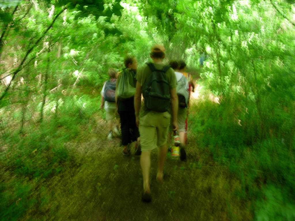 dscn1784.jpg