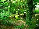 dscn1565.jpg
