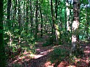 dscn1588.jpg