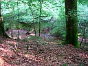dscn1590.jpg