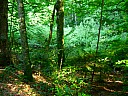 dscn1591.jpg