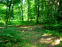 dscn1593.jpg