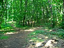 dscn1594.jpg