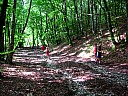 dscn1596.jpg
