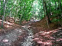 dscn1597.jpg