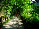 dscn1602.jpg