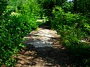 dscn1631.jpg