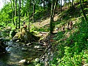 dscn1639.jpg