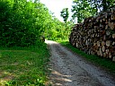 dscn1656.jpg