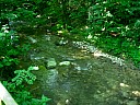 dscn1665.jpg