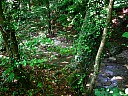dscn1668.jpg