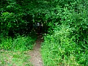dscn1761.jpg