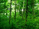 dscn1781.jpg