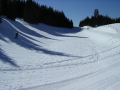 DSCN1238