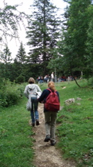 DSC00006