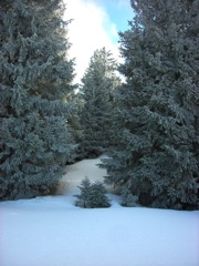 DSCN5534.JPG