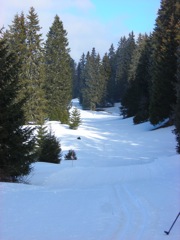 DSCN5535.JPG